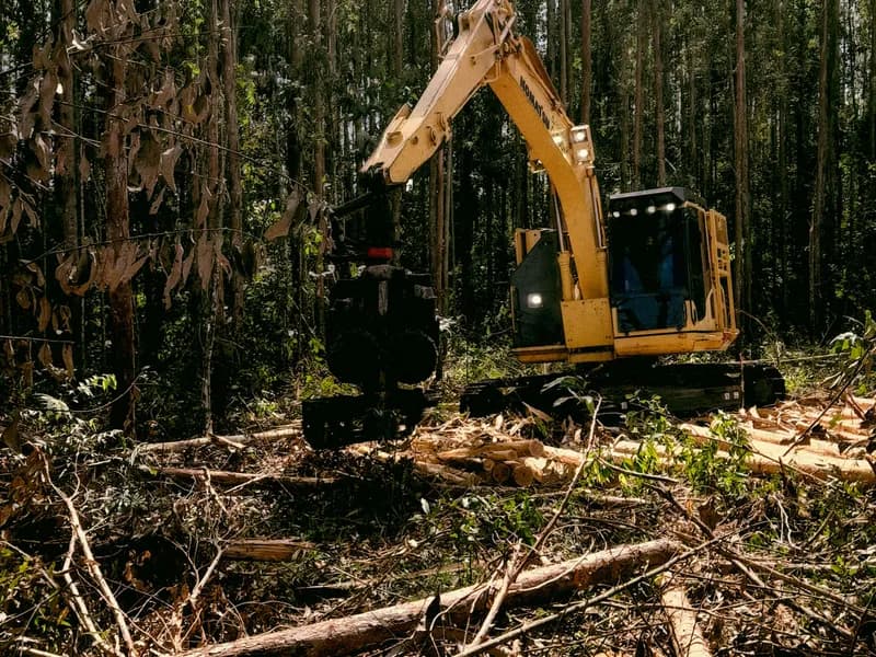 Land clearing project in Cleveland